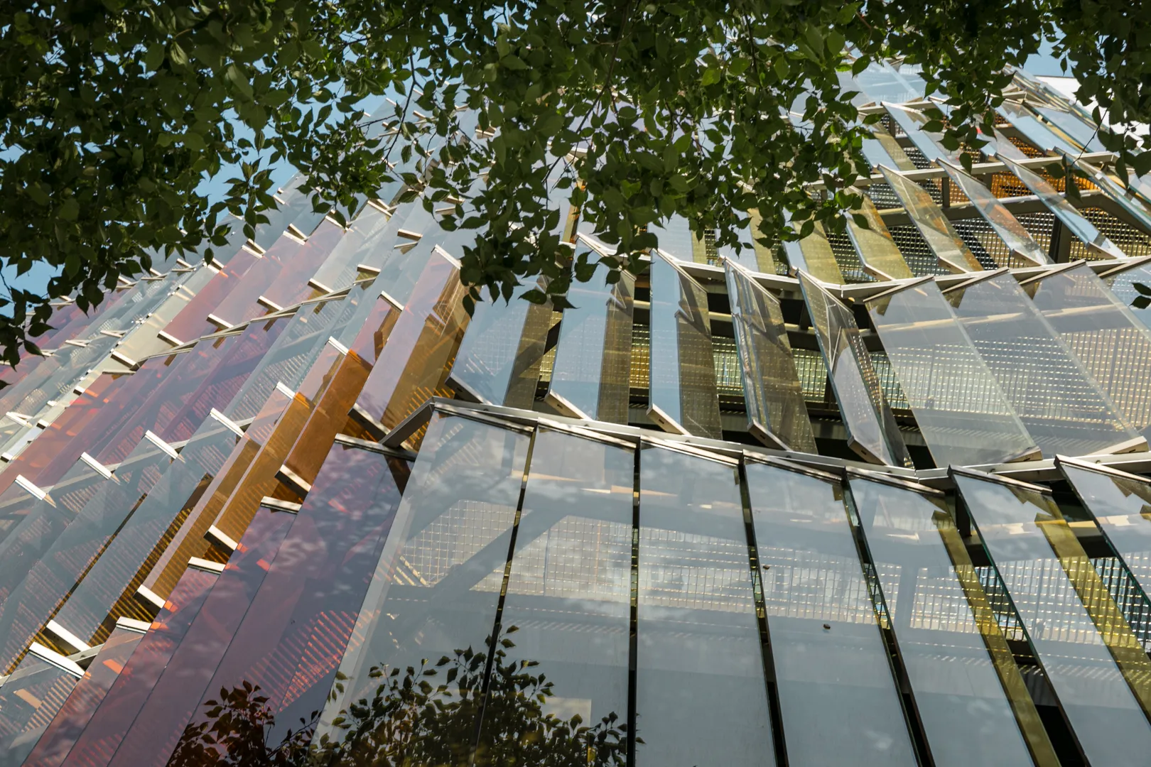 Renovation Eada Business School building. Jose Masterton