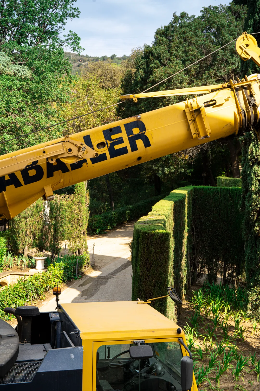 Renovation Marqués d'Alfarrás Palace. Jose Masterton